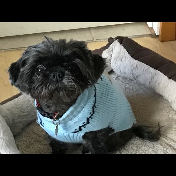 Meet your Posher - Picture 3 of 4